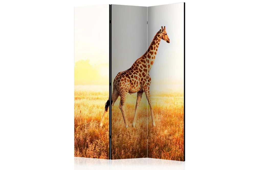 Kadira Rumsavdelare 135×172 cm VALUE_MISSING_1 v:6746815 Kadira Rumsavdelare 135×172 cm VALUE_MISSING_1 v:6746815