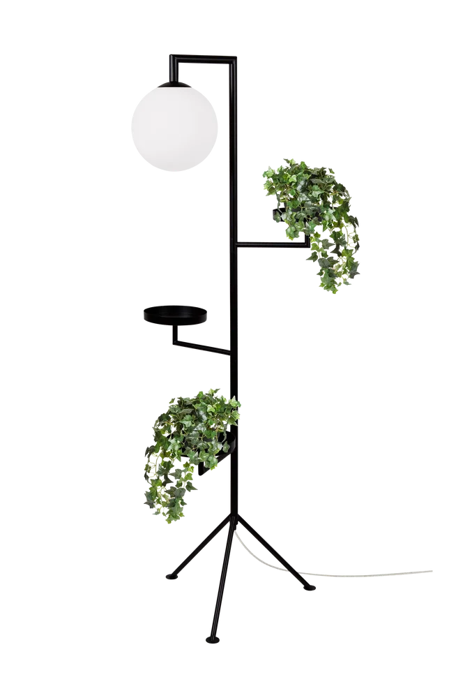 Gulvlampe Astoria Svart - Belysning | m v:1834364