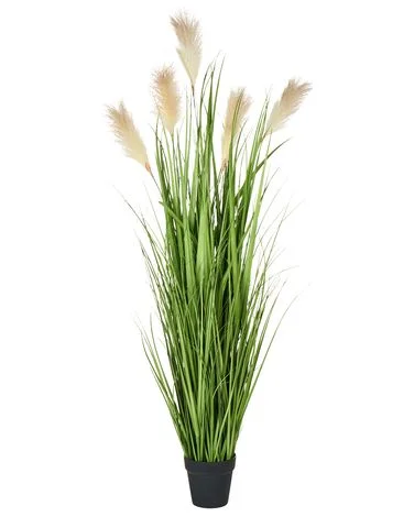 Kunstig plante PAMPAS GRASS 130 cm Grønn v:129356