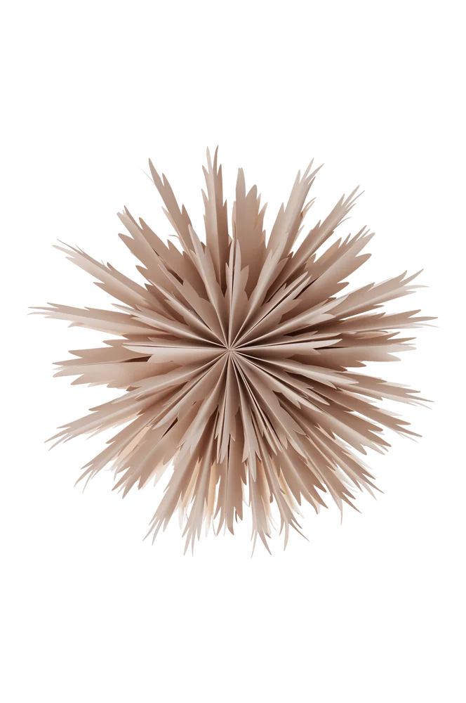 BELLATRIX julestjerne – Beige – Belysning | m v:6278829