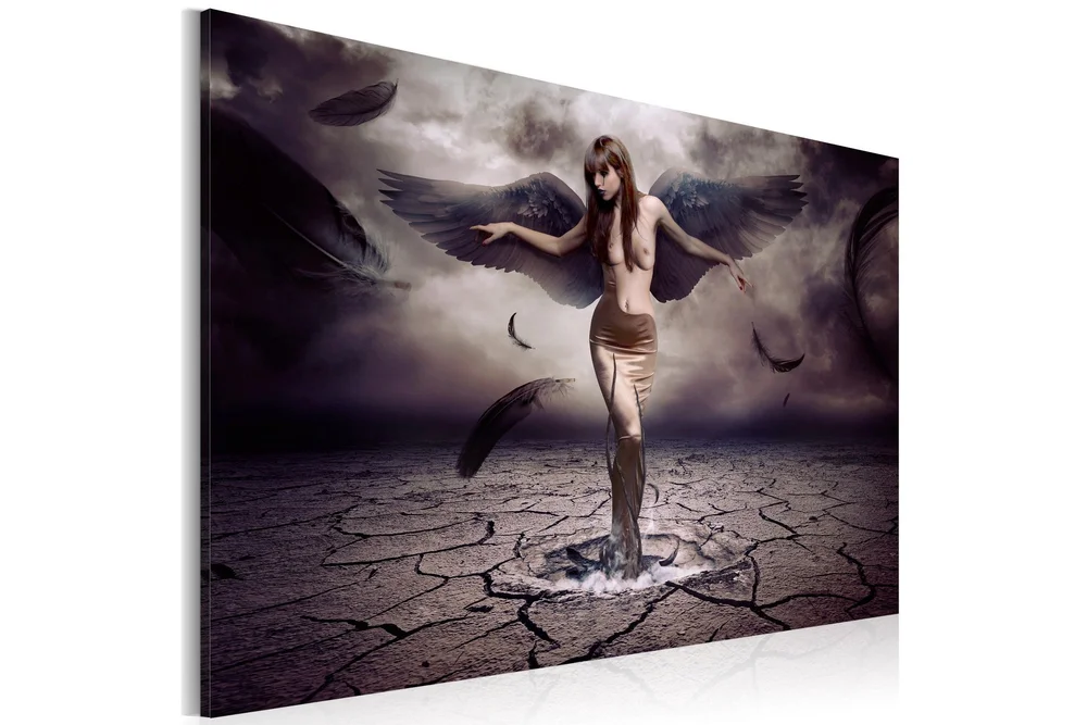 Bilde Black angel 120x80 v:7228435