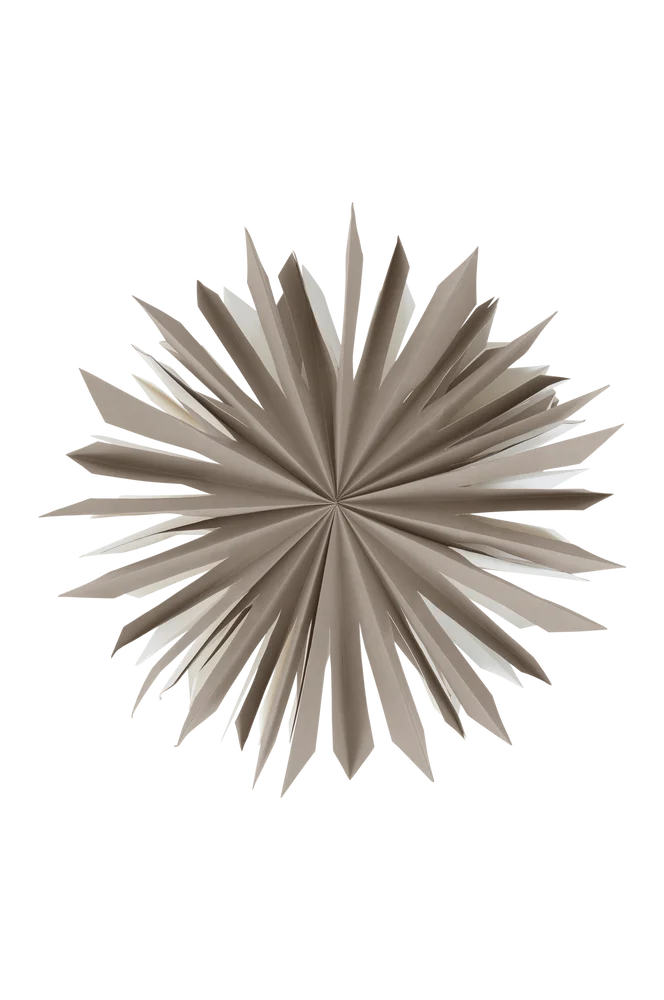 SIRIUS adventsstjerne ø 60 cm - Brun - Belysning | m v:8753915