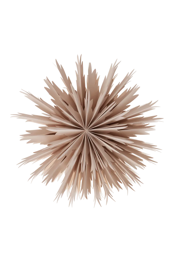BELLATRIX julestjerne ø 51 cm – Beige – Belysning | m v:6269463