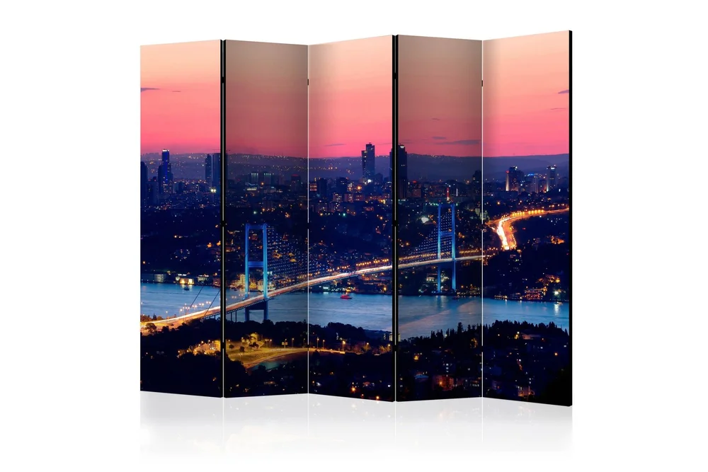 Romdeler Bosphorus Bridge II v:9261484
