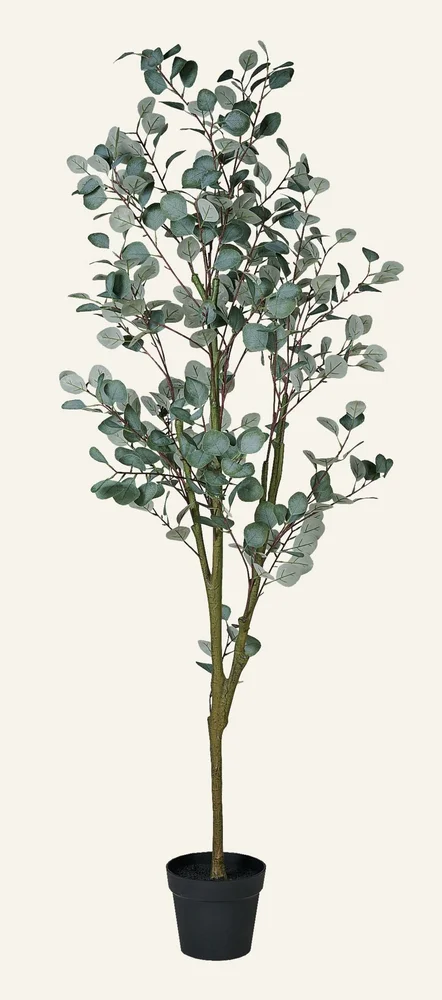 Plante grønn – 50x50x180 cm v:9138717 Plante grønn – 50x50x180 cm v:9138717