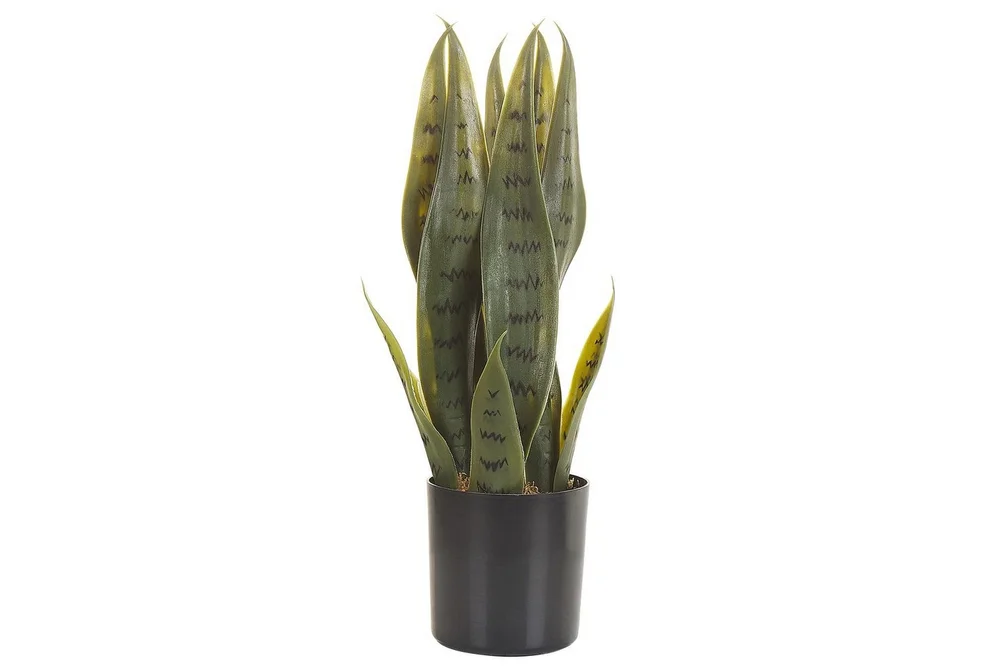 Konstgjord växt Beliani Snake Plant 10x10x40 cm Green||Black v:6597932