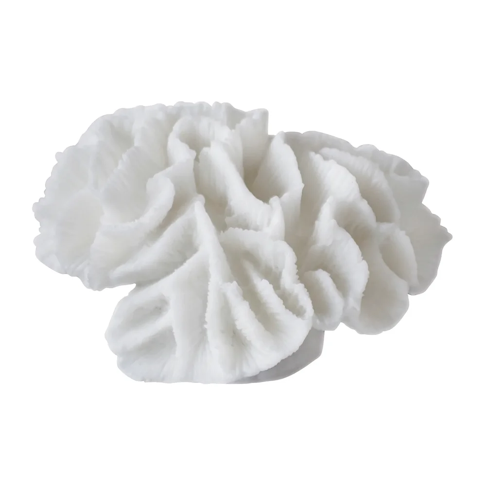Coral gills v:4466114 Coral gills v:4466114