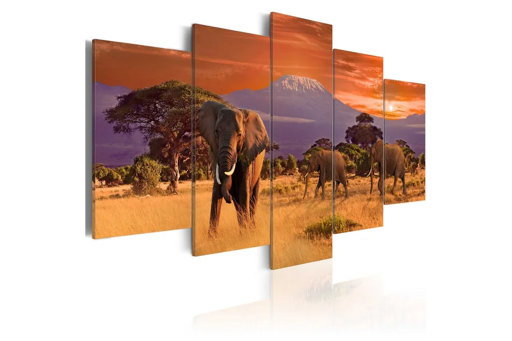 Bilde Africa Elephants 100x50 v:3152815