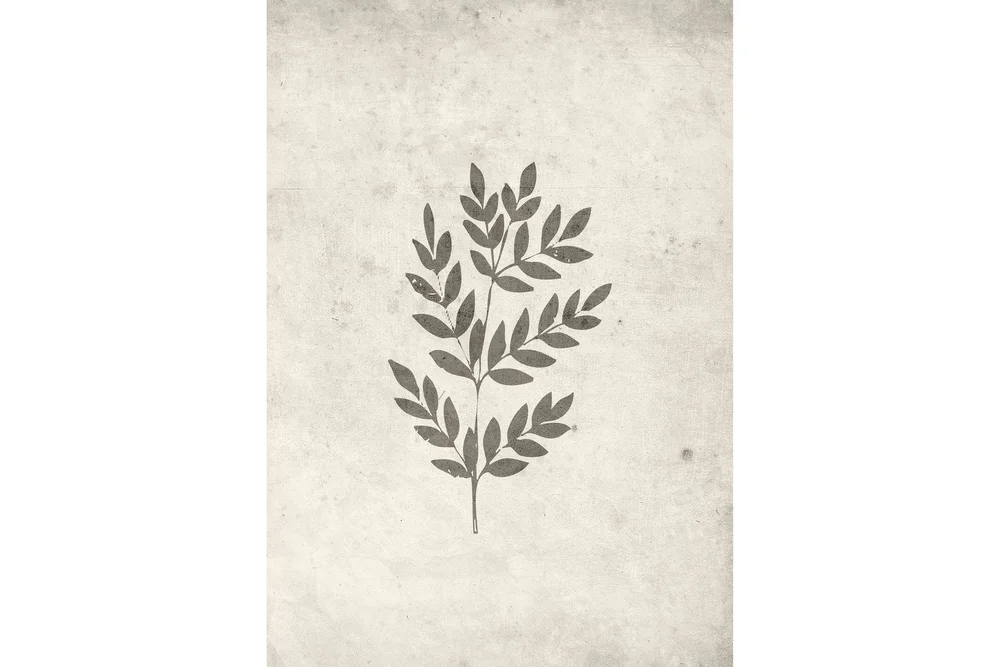 Poster Spring leaf 21x30 cm v:4188076