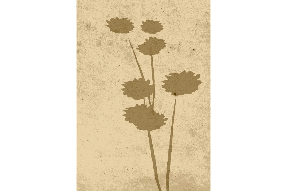 Poster Flower art 70x100 cm v:9433049