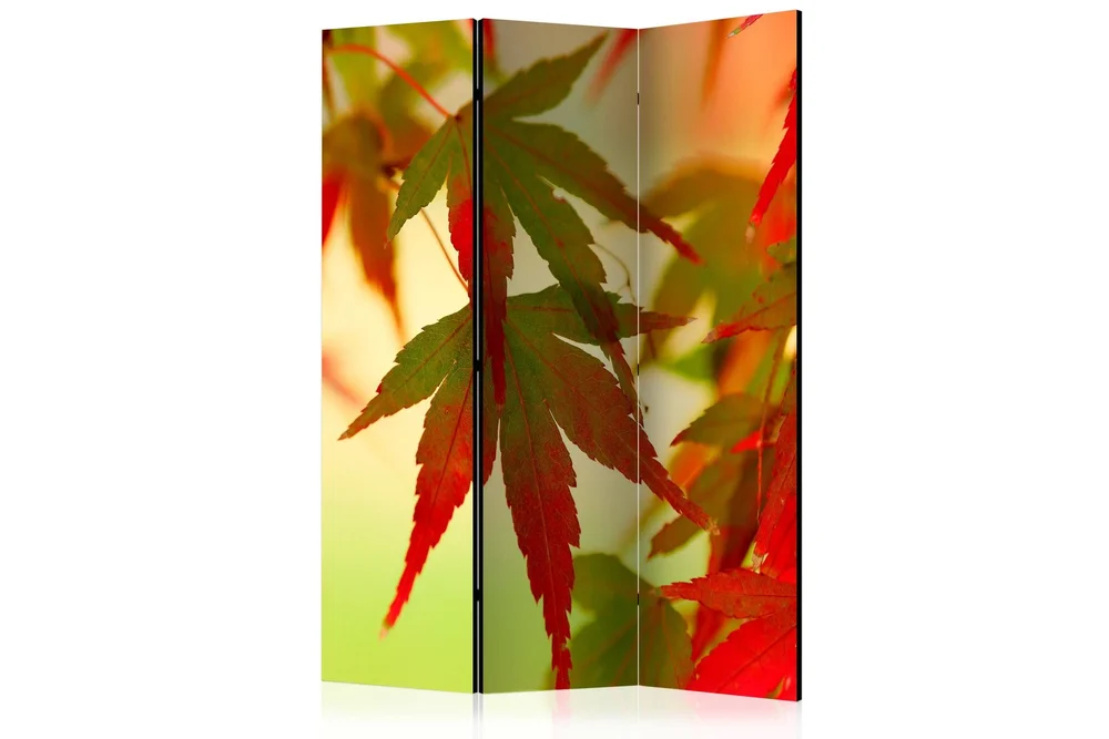 Romdeler - Fargerike blader 135x172 v:2091624