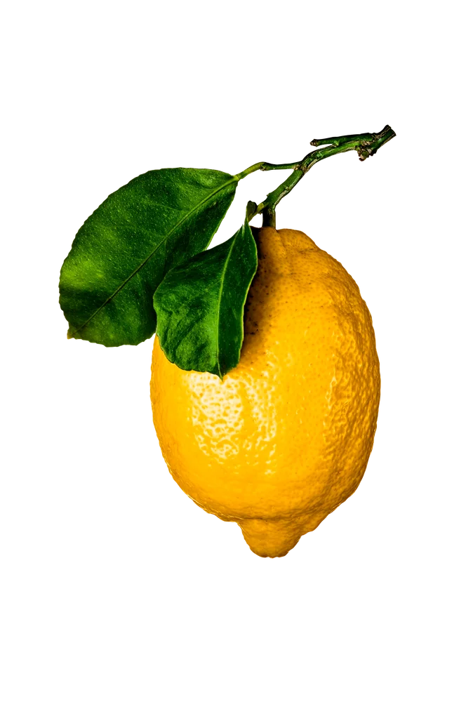 Coffee Table Book – The Gourmand'S Lemon . A Collection Of Stories And Recipes – Hvit – Dekor | m v:4137068 Coffee Table Book – The Gourmand'S Lemon . A Collection Of Stories And Recipes – Hvit – Dekor | m v:4137068
