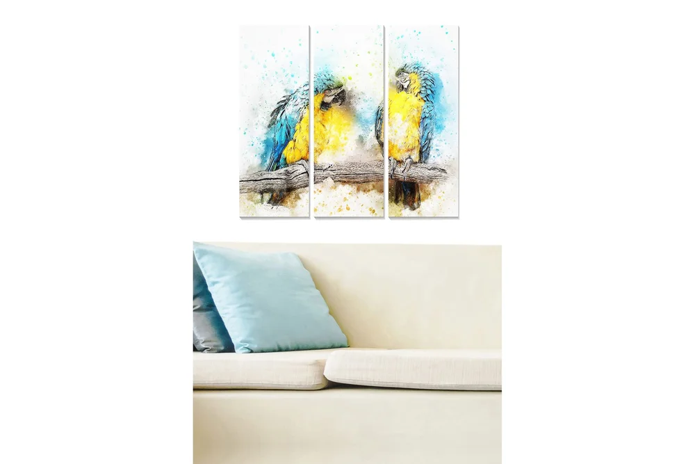 Canvasbilde Animal 3-pk flerfarget v:9025390