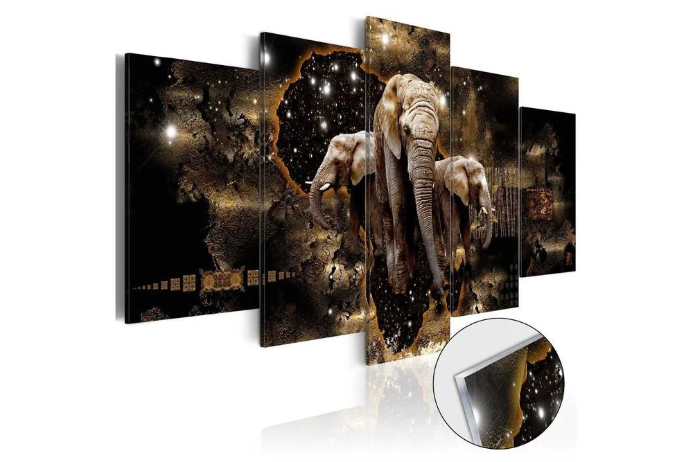Bilde På Akryl Brown Elephants 100x50 v:1580553