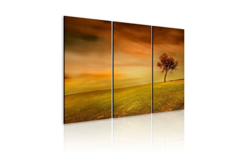 Bilde A Lonely Tree On A Meadow 60×40 v:8517112 Bilde A Lonely Tree On A Meadow 60×40 v:8517112