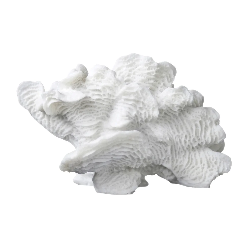 Coral fan v:7313612 Coral fan v:7313612