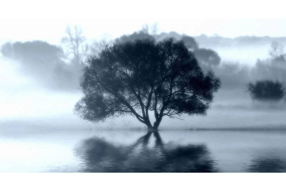Kanvas Sprint Tree v:5093521