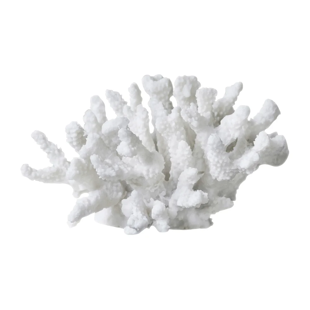 Coral branches white v:4310134 Coral branches white v:4310134