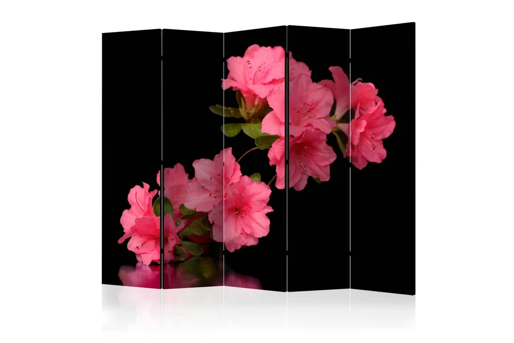 Romdeler Azalea in Black II v:1696927