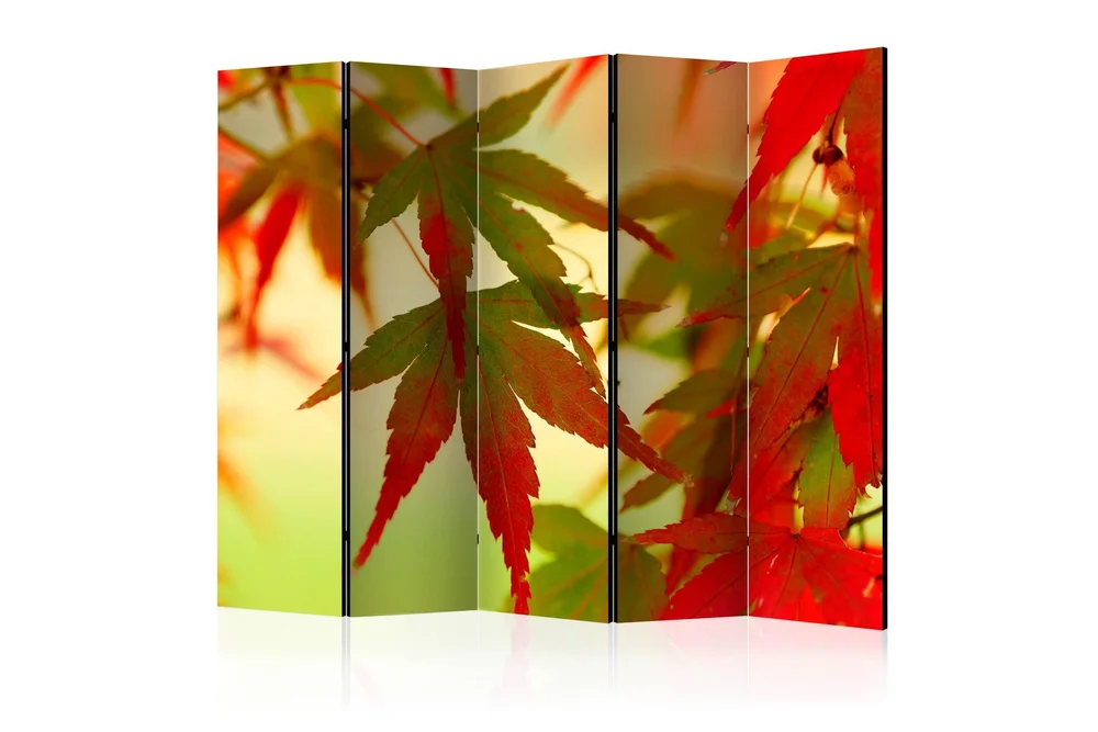 Romdeler - Colourful leaves II 225x172 v:2038281