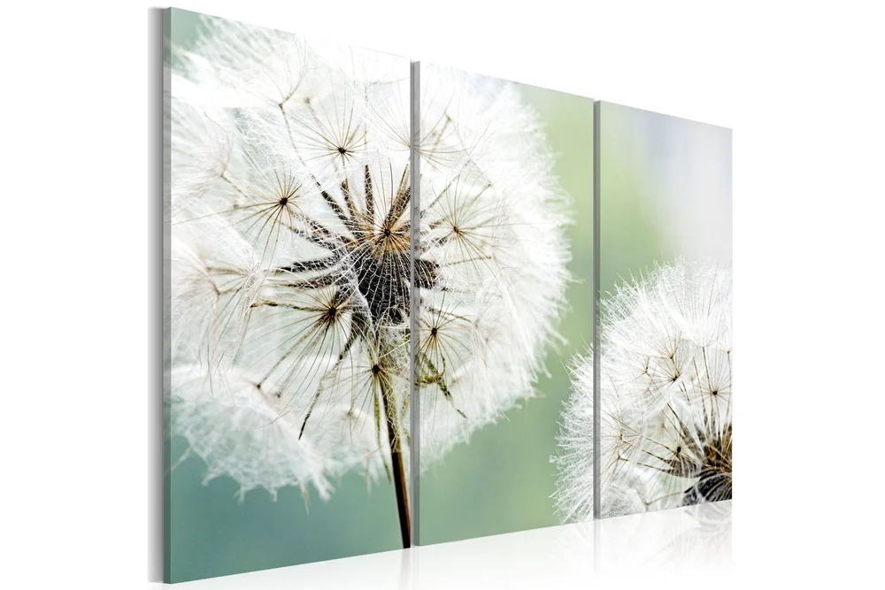 Bilde Fluffy dandelions 90x60 v:2961699